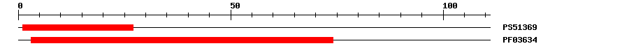 3D Structure