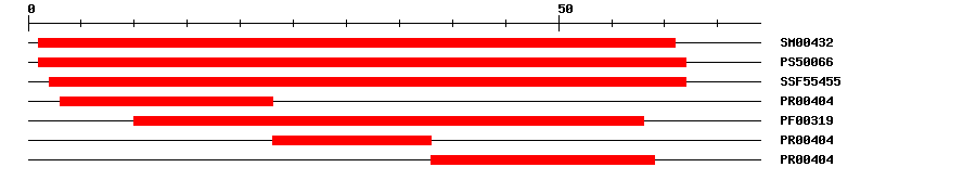 3D Structure