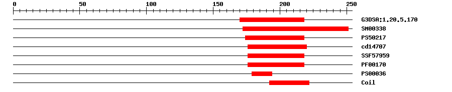 3D Structure