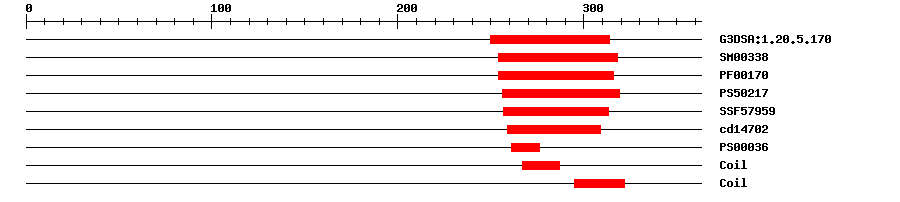 3D Structure