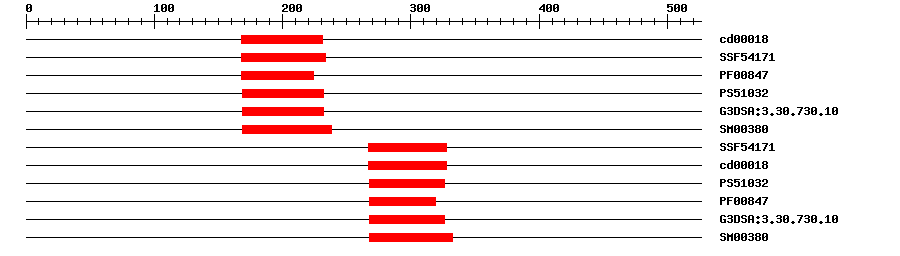 3D Structure