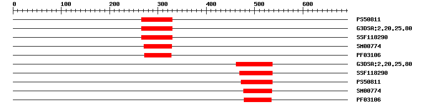 3D Structure