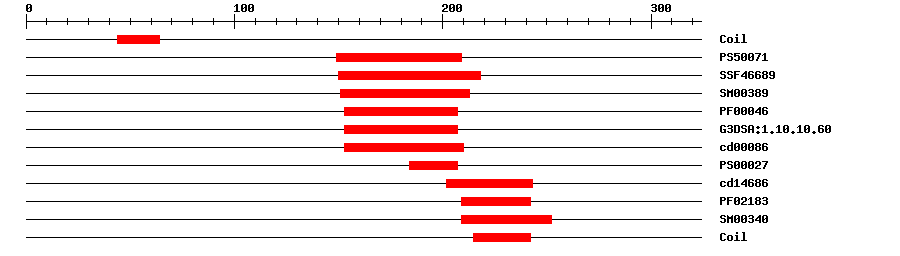 3D Structure