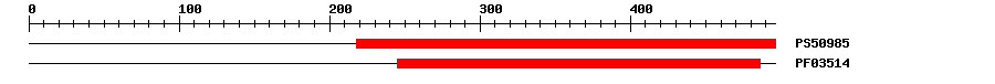 3D Structure
