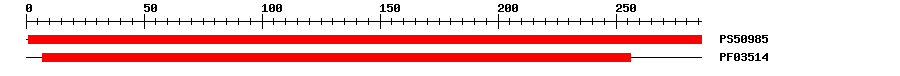 3D Structure