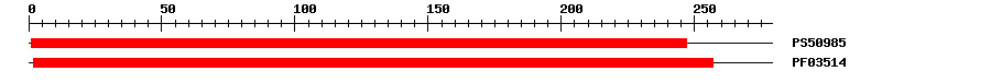 3D Structure