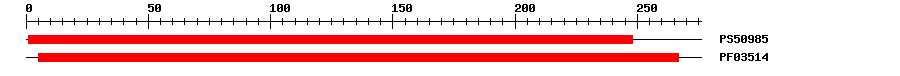 3D Structure
