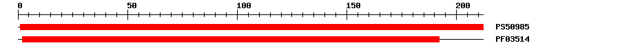 3D Structure