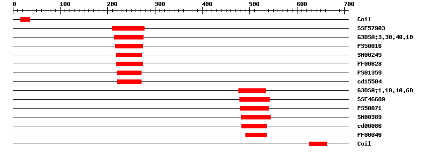 3D Structure