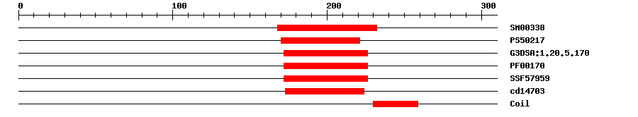 3D Structure