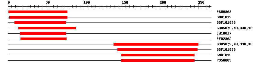 3D Structure