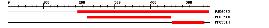 3D Structure