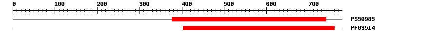3D Structure