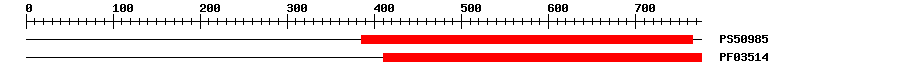 3D Structure