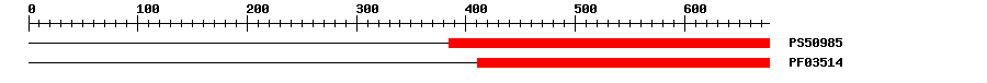 3D Structure