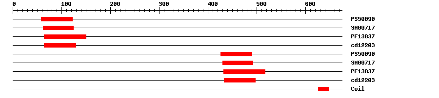 3D Structure