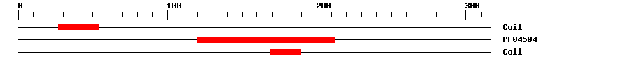 3D Structure
