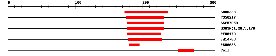3D Structure