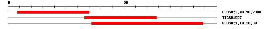 3D Structure