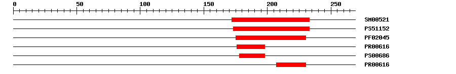 3D Structure