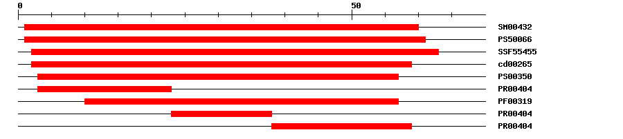 3D Structure
