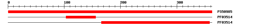3D Structure