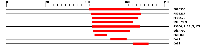 3D Structure