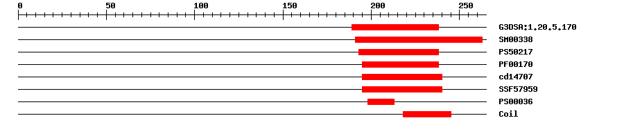 3D Structure