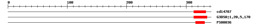 3D Structure