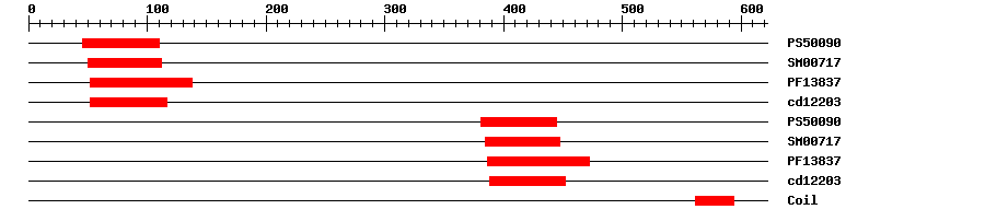 3D Structure