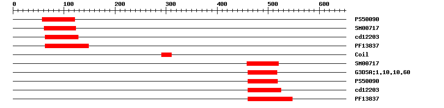 3D Structure