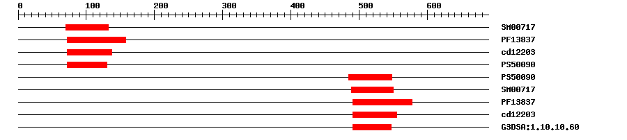 3D Structure