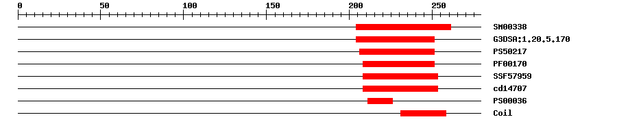 3D Structure