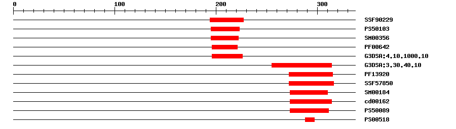 3D Structure