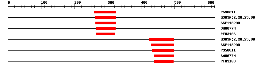 3D Structure