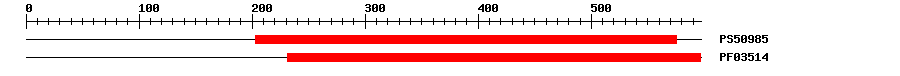 3D Structure
