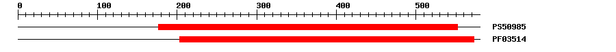 3D Structure