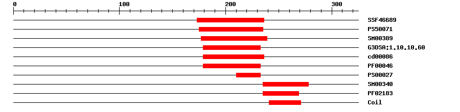 3D Structure