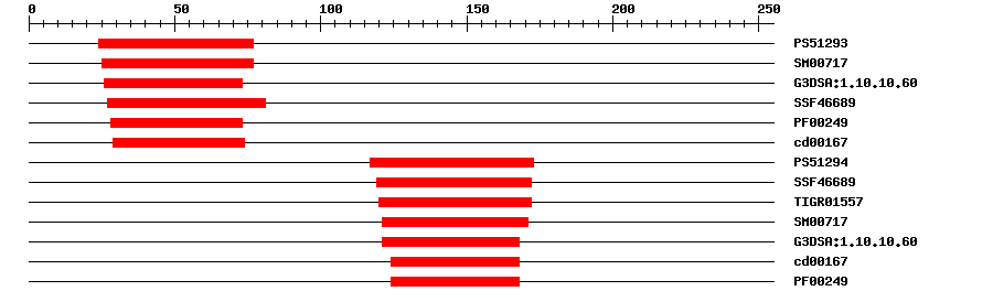 3D Structure