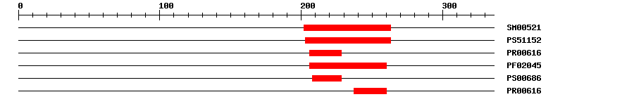 3D Structure