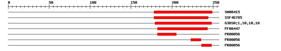 3D Structure