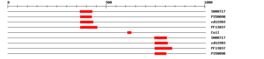 3D Structure