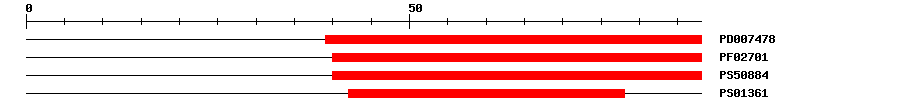 3D Structure