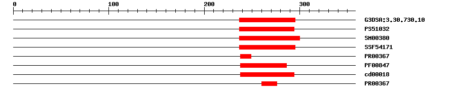 3D Structure