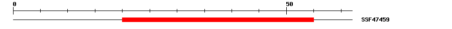 3D Structure