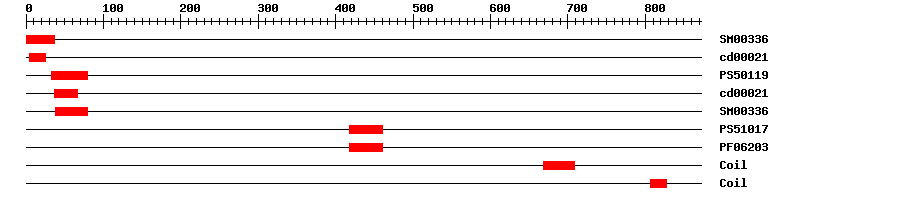 3D Structure