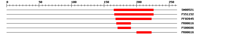 3D Structure