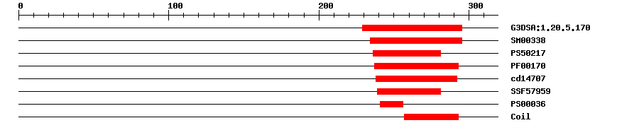 3D Structure