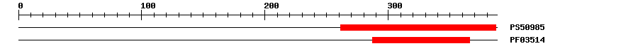 3D Structure