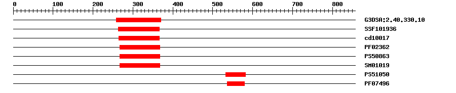 3D Structure